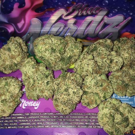 Sherbmoney strain - S3S5150 17 reviews - Posted May 3, 2023, 8:18 a.m. The Glove is an indica dominant hybrid strain (70% indica/30% sativa) created through crossing the iconic Gary Payton X Jealousy strains. Named for its soothing, ‘white glove' high, The Glove is the perfect choice for any lover of classic indicas. The high is gentle from start to finish with ...